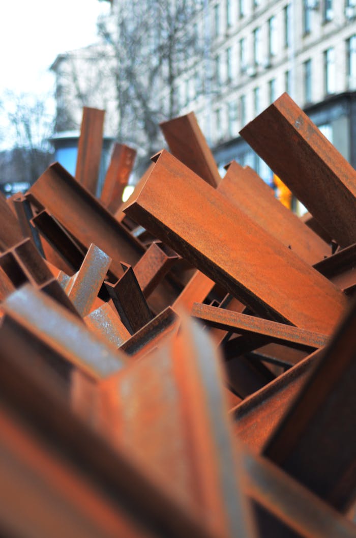 pexels photo 17367619.jpeg